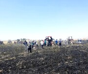 آتش سوزی پنج هکتار از گندم زارهای روستاهای بروجرد مهار شد