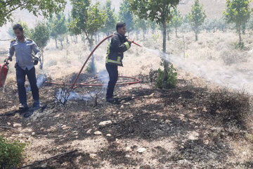 علت آتش سوزی در منطقه سوسن سرخاب اندیکا در حال بررسی است