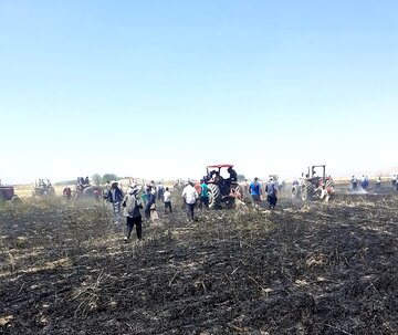آتش سوزی پنج هکتار از گندم زارهای روستاهای بروجرد مهار شد
