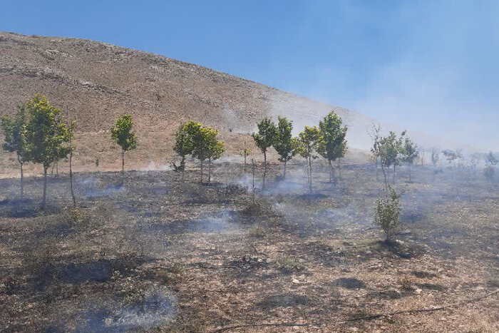 آتش‌سوزی در پارک جنگلی سیاسرد بروجن به وقوع پیوست