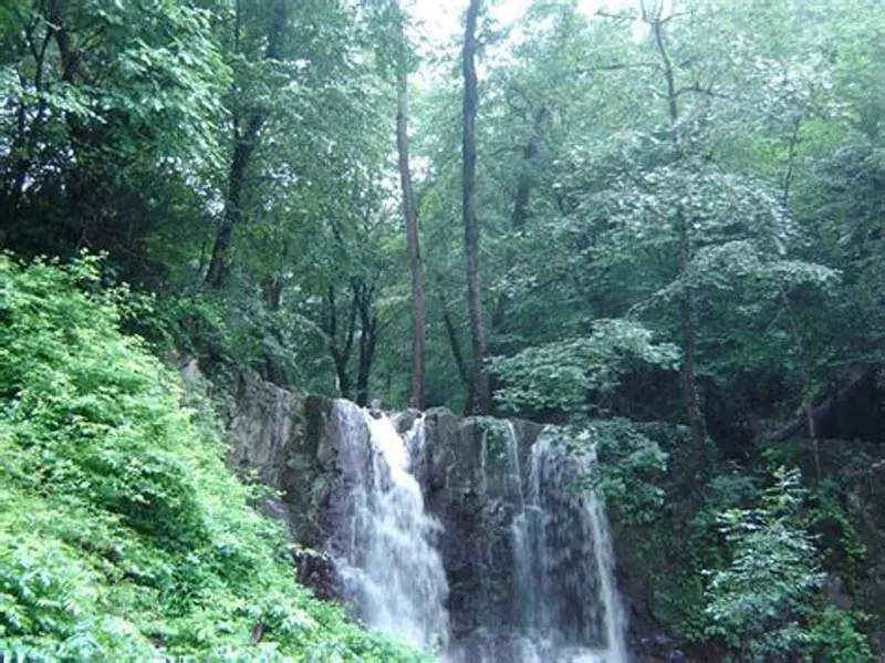 زیباترین جادههای ایران کدامند