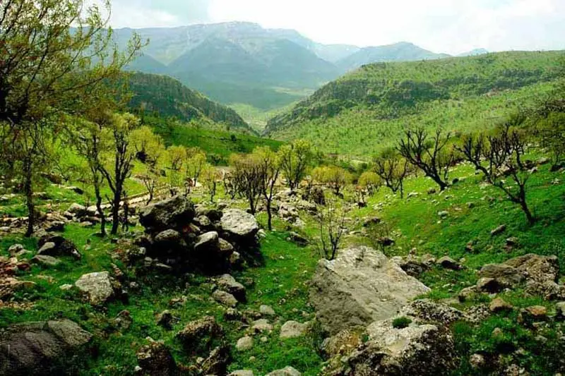 زیباترین جادههای ایران کدامند