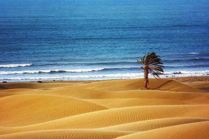 تاکید دولت بر توسعه سواحل مکران با تکیه بر حفظ محیطزیست