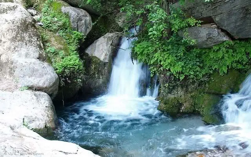 در سفر به باشت از کجا دیدن کنیم؟