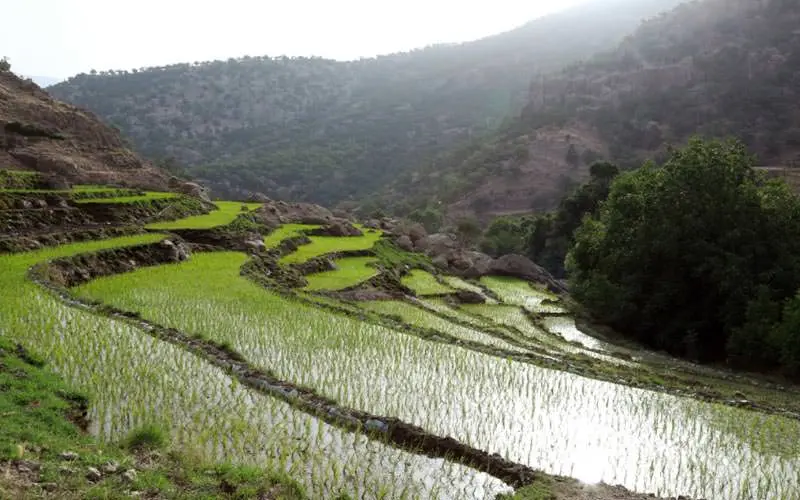 در سفر به باشت از کجا دیدن کنیم؟