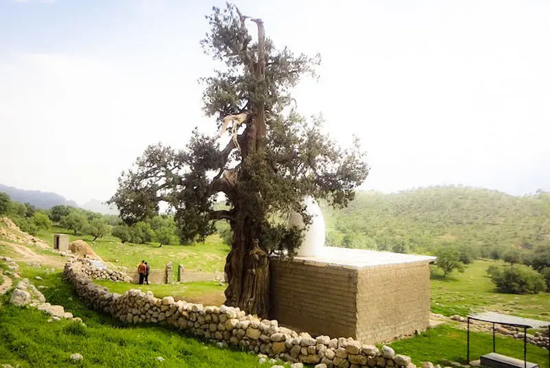 در سفر به باشت از کجا دیدن کنیم؟