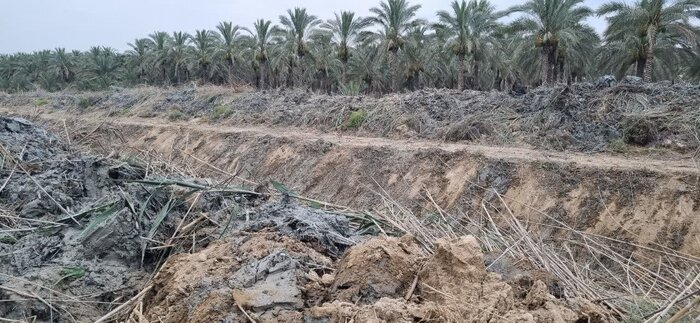 تحقق مطالبه ۲۰ ساله کشاورزان دشتستانی در دولت سیزدهم بوشهر