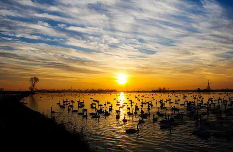 در هر فصل به کدام شهر شمال سفر کنیم؟