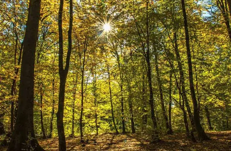 در هر فصل به کدام شهر شمال سفر کنیم؟