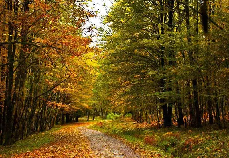 در هر فصل به کدام شهر شمال سفر کنیم؟