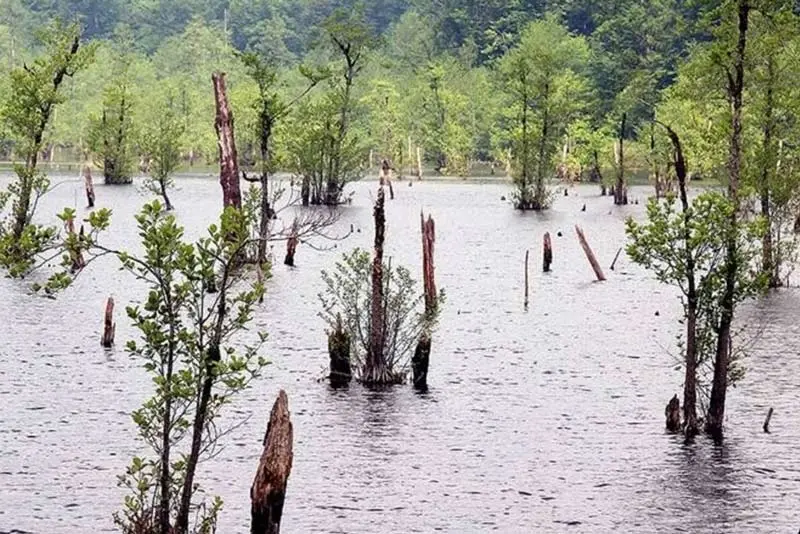 در هر فصل به کدام شهر شمال سفر کنیم؟