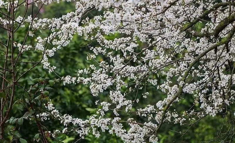 در هر فصل به کدام شهر شمال سفر کنیم؟