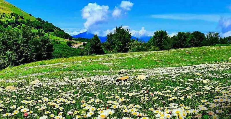 در هر فصل به کدام شهر شمال سفر کنیم؟