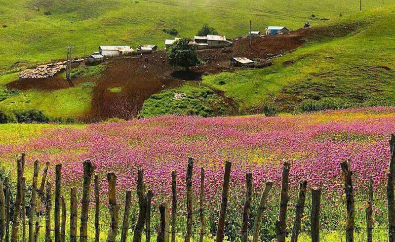 در هر فصل به کدام شهر شمال سفر کنیم؟