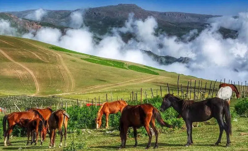 در هر فصل به کدام شهر شمال سفر کنیم؟