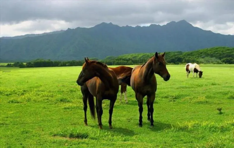 در هر فصل به کدام شهر شمال سفر کنیم؟