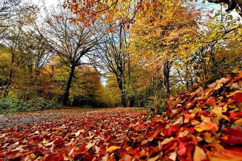 در هر فصل به کدام شهر شمال سفر کنیم؟