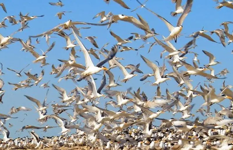 در هر فصل به کدام شهر شمال سفر کنیم؟