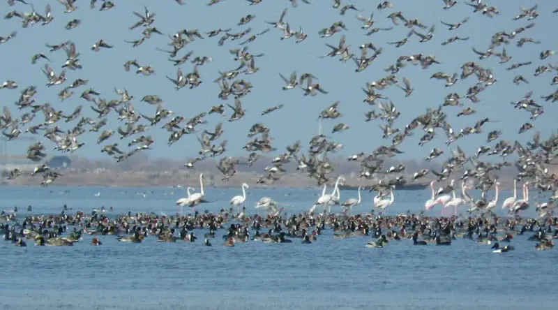 در هر فصل به کدام شهر شمال سفر کنیم؟