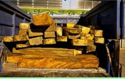  ۱۹۰ اصله چوب‌آلات جنگلی قاچاق در اردبیل کشف شد