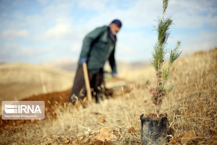 گام‌های سبز دولت سیزدهم در حفظ منابع طبیعی خراسان‌شمالی