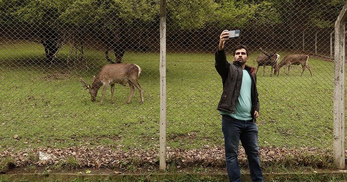 احیای نسل مارال در ارسباران آذربایجان شرقی