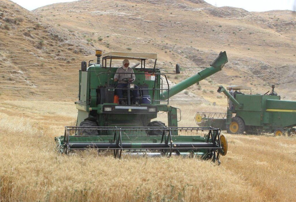 ۸۴ درصد مطالبات گندمکاران خراسان جنوبی پرداخت شد ۸۴ درصد مطالبات گندمکاران خراسان جنوبی پرداخت شد