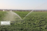 اجرای طرح بهینه سازی مصرف آب کشاورزی در ۴٠٠ هکتار از مزارع اصفهان