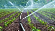 اجرای سامانه‌های نوین آبیاری کشاورزی در استان سمنان به ۵۱ هزار هکتار رسید