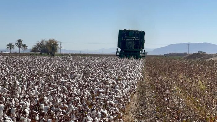 توسعه روستاهای فارس زیر چتر حمایت دولت؛ از ایجاد شبکه تعاونی تا پیگیری ۴۳ طرح عمرانی