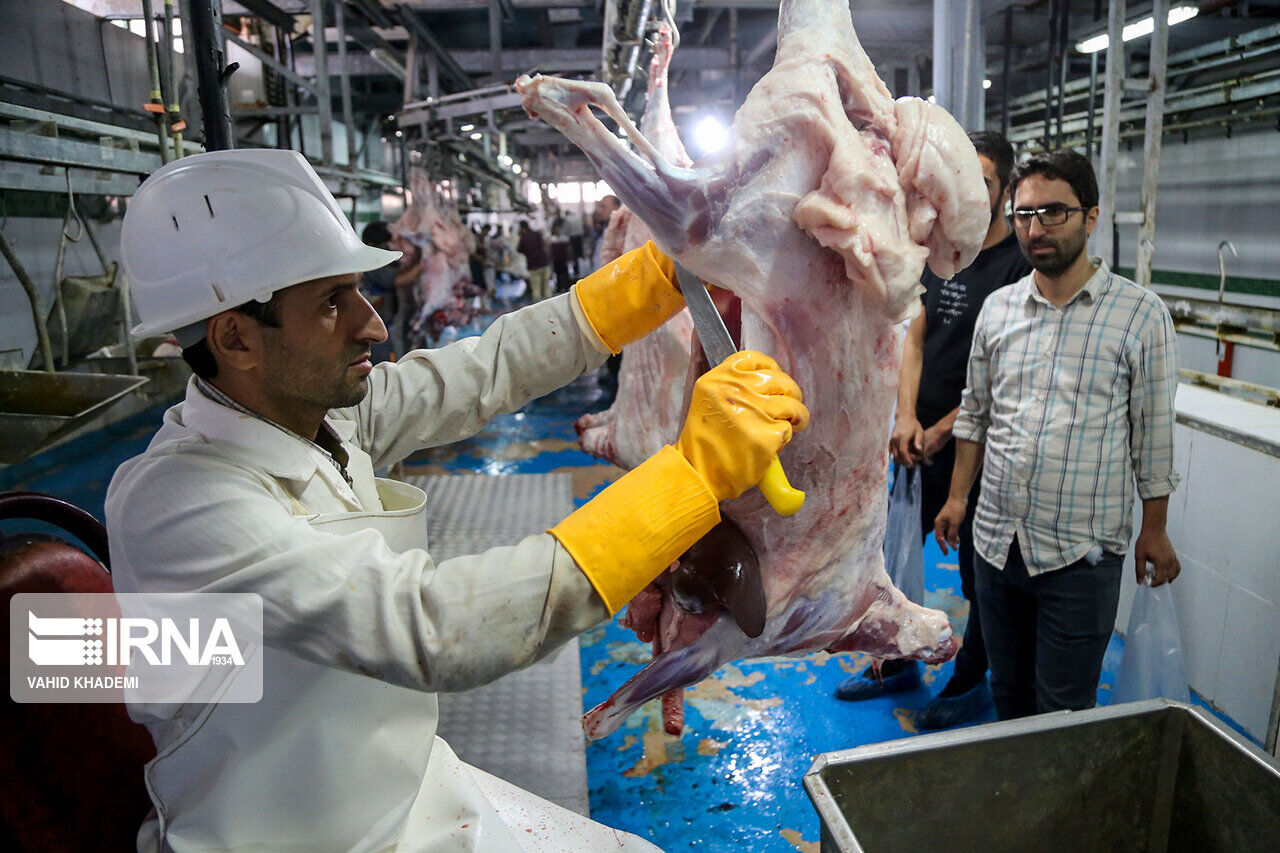 ۱۶ قربانگاه در استان تهران آماده خدمت رسانی به نیکوکاران است