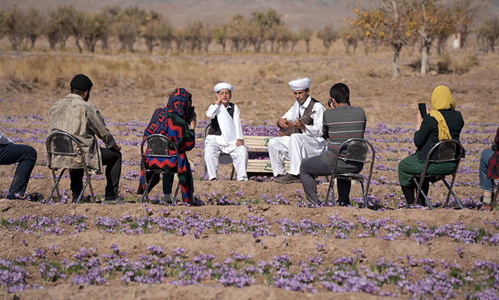 ۲ جشنواره گردشگری شهرستان تربت حیدریه ثبت ملی شد