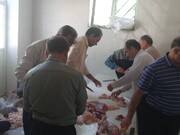 گوشت قربانی بین یک هزار و ۲۰۰ خانواده نیازمند چرداولی توزیع شد 