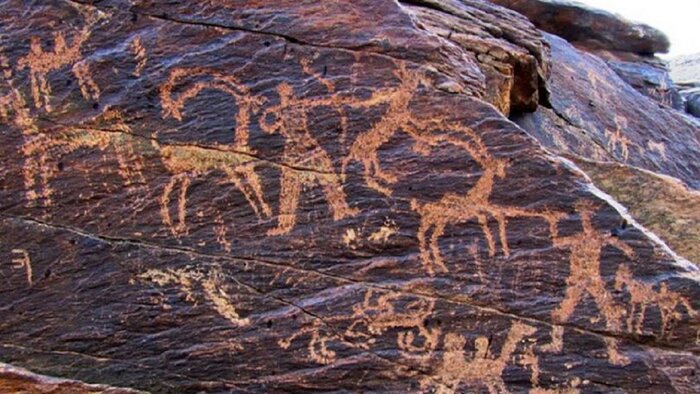 کشف نقاشیهایی از اهلی کردن باز شکاری بدست ایرانیان در تیمره خمین