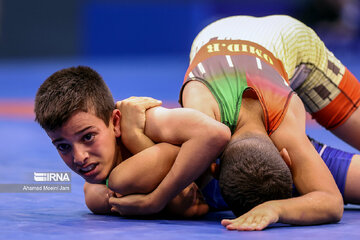 Iran juniors freestyle wrestling competitions