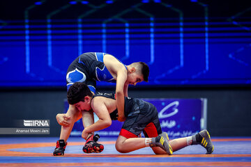 Iran juniors freestyle wrestling competitions