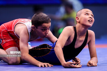 Iran juniors freestyle wrestling competitions