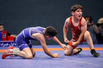 Iran juniors freestyle wrestling competitions