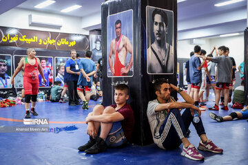 Iran juniors freestyle wrestling competitions