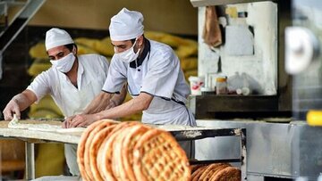 رییس جهاد کشاورزی خراسان رضوی: بخشی از هزینه نانوایی‌ها موجب افزایش قیمت نان شد