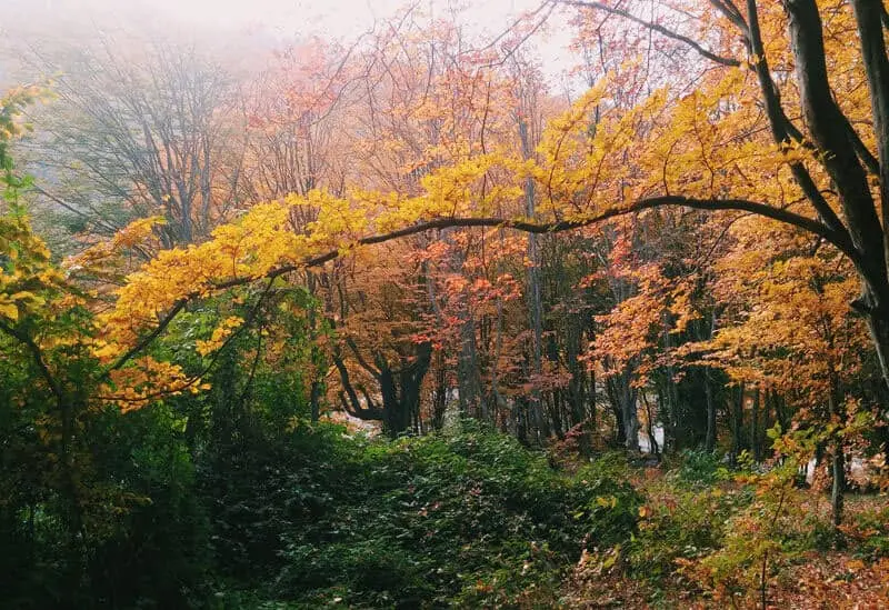 در سفر به استان گلستان از کجا دیدن کنیم؟