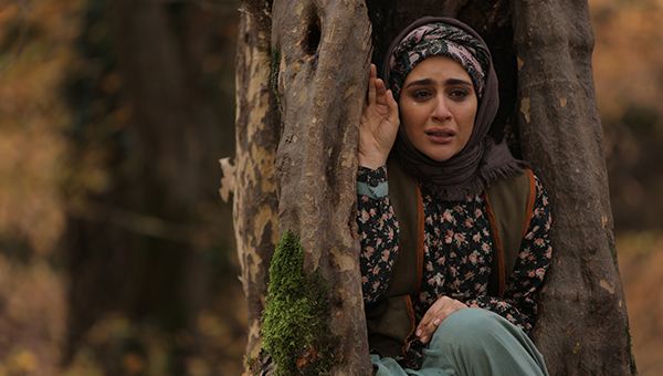 پیـروزی «گلنار» هم دردناک بود/ «عشق» چرا و اما و اگر ندارد+فیلم