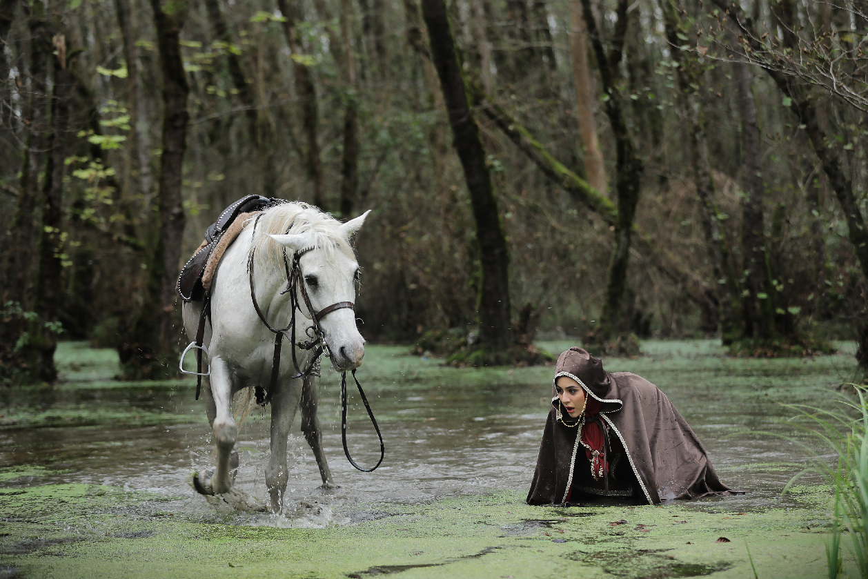 پیـروزی «گلنار» هم دردناک بود/ «عشق» چرا و اما و اگر ندارد+فیلم