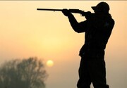 شکارچیان غیرمجاز در شهرستان جیرفت دستگیر شدند