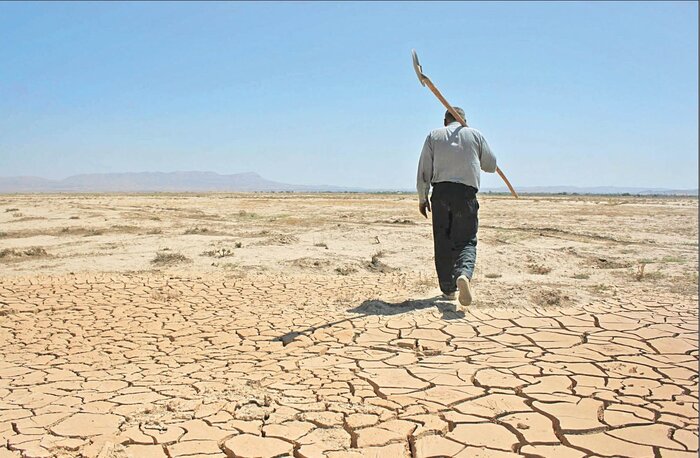 «کشاورزی غیراصولی» بلای بزرگ فرونشست زمین در کشور