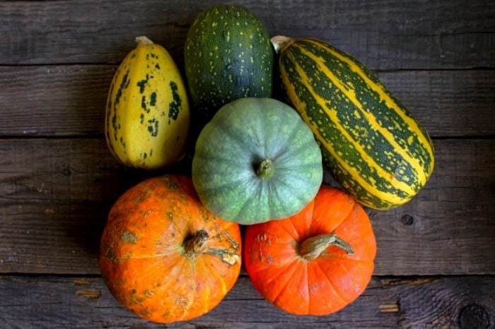 اشتباه خانمهای ایرانی در نگهداری میوه و سبزیجات