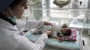 شاخص مرگ و میر نوزادان در کردستان کمتر از متوسط کشوری است
