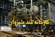 فیلم/ رونق کارخانه قند شیروان در دولت سیزدهم