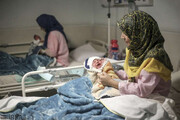 هدیه سند زمین رایگان به والدین با تولد فرزند سوم در بیمارستان‌های مازندران 
