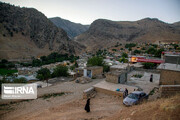 اجرای طرح توانمندسازی روستاییان فارس، مهاجرت معکوس را دنبال می‌کند